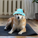 Pet Baseball Hat Round Brim Princess Cap Dog Visor Hat Sun Protection Cap