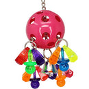 1938 Paci Pull Colorful Pacifier Ring Acrylic Parrot Parrotlet Budgie Quaker African