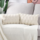 Set of 2 Soft Plush Short Wool Velvet Decorative Throw Pillow Covers