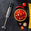 500 Watt 9-Speed Immersion Multi-Purpose Hand Blender Heavy Duty