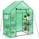 Small Walk in Greenhouse for Outdoors with PE Cover and Roll Up Door