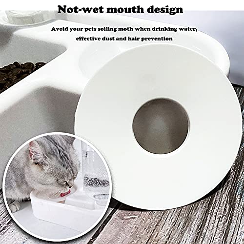 Double Dog Cat Bowls - Pets Water and Food Bowl Set with Automatic Water Bottle, Raised Pet Feeder Bowl for Cats and Small Dogs
