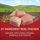 Purina ONE Natural Dry Dog Food, SmartBlend Chicken & Rice Formula - 16.5 lb. Bag