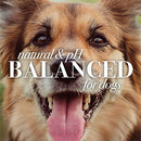 Burt's Bees for Dogs Care Plus+ Natural Hydrating Waterless Shampoo