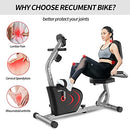 Recumbent Exercise Bike, Magnetic Indoor Cycling Bike Stationary Bikes