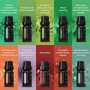 Ultimate Aromatherapy Diffuser & Essential Oil Set - Ultrasonic Diffuser & Top 10 Essential Oils