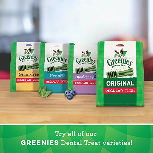 GREENIES Original Large Natural Dog Dental Care Chews Oral Health Dog Treats