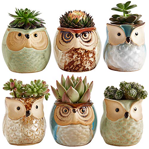 Owl Pot Ceramic Flowing Glaze Base Serial Set Succulent Plant Pot 6pcs