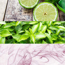 Calvin Klein one Deodorant, 2.6 oz