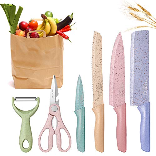 Kitchen Knife Set of 6 Pieces in Gift Box, Professional Stainless Steel