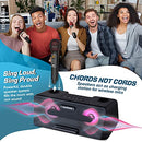 Karaoke Machine for Adults and Kids W/Portable Bluetooth Speakers, 2 Wireless Mic