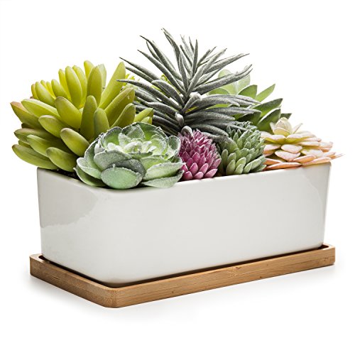 Assorted Artificial Succulent Plant Arrangement Potted in White Ceramic Pot