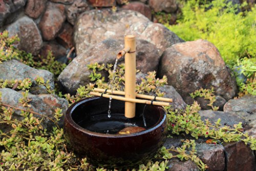 Bamboo Accents Water Fountain & Pump Kit - 12-inch Wide, Adjustable Branch Style