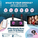 Karaoke Machine for Adults and Kids W/Portable Bluetooth Speakers, 2 Wireless Mic