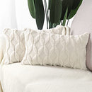 Set of 2 Soft Plush Short Wool Velvet Decorative Throw Pillow Covers