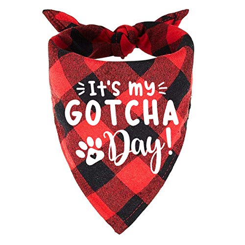 family Kitchen Funny Cute Red Plaid Pet Dog Cat Bandana Scarf, It's My Gotcha Day