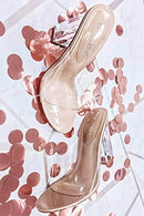 Fusion Clear Chunky Block High Heels for Women, Transparent Booties for Women