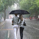 2 Packs Travel Umbrella Windproof Auto Open & Close Collapsible Folding Small Compact