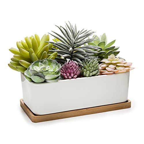 Assorted Artificial Succulent Plant Arrangement Potted in White Ceramic Pot