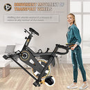 Indoor Cycling Bike Stationary, VIGBODY Exercise Bike Ipad Holder with LCD Monitor