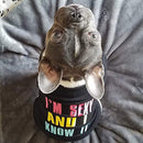 Parisian Pet Dog Cat Clothes Tee Shirts Embroidered T-Shirt Sexy and I Know It, L