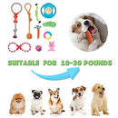 Angelland Dog Chew Toys for Small to Medium Dogs - 10 Pack Tough Dog Toys