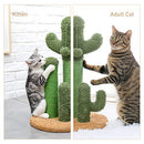 Cat Scratching Post Cactus Cat Scratcher Featuring with 3 Scratching Poles 23 Inches