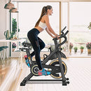 Indoor Cycling Bike Stationary, VIGBODY Exercise Bike Ipad Holder with LCD Monitor