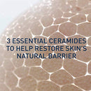 Moisturizing Lotion for Dry Skin | Body Lotion & Facial Moisturizer