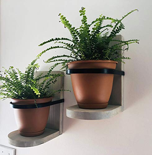 Hanging Wall Planter Wooden Hand Crafted Set of 2, Choice of Stain Color