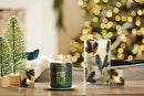 Balsam & Cedar Scented, Classic 22oz Large Jar Single Wick Candle
