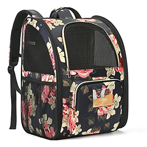 Cat Backpack Airline Approved Carrier Backpack for Small Dogs Carrier