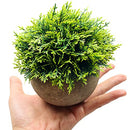 Mini Fake Cypress Cedar Plants for Bathroom Home Office Desk Decor