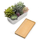 Assorted Artificial Succulent Plant Arrangement Potted in White Ceramic Pot