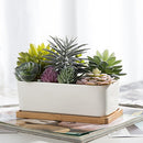Assorted Artificial Succulent Plant Arrangement Potted in White Ceramic Pot