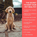 Red Light Therapy for Pets Infrared Light for Dogs and Pets - Rechargeable Device