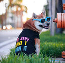 Parisian Pet Dog Cat Clothes Tee Shirts Embroidered T-Shirt Sexy and I Know It, L