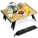 Foldable Beach Table Ultralight Aluminum, Mini Folding Camping Table for Picnic Outdoor