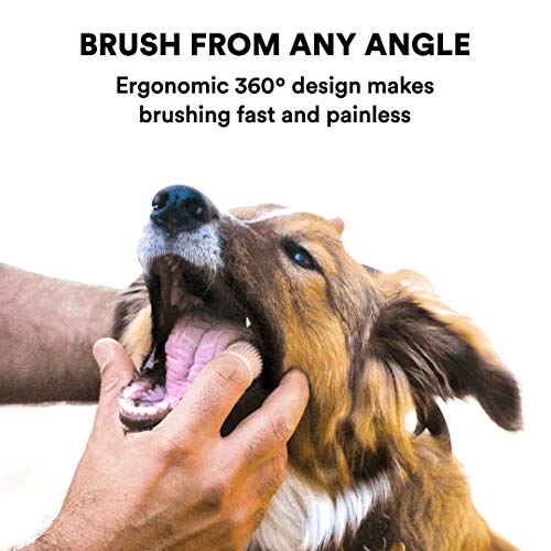 360º Dog Fingerbrush Toothbrush Kit (4-Pack) Ergonomic Design, Full Surround Bristles