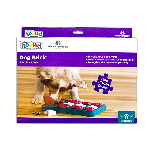 Dog Brick Interactive Treat Puzzle Dog Toy, Intermediate