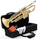 Trumpets for Beginner or Advanced Student w/Case, Cloth, Oil, Gloves - Brass Musical Instruments