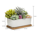 Assorted Artificial Succulent Plant Arrangement Potted in White Ceramic Pot
