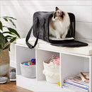 Amazon Basics Soft-Sided Mesh Pet Travel Carrier with Wheels, Small (17 x 9 x 10 ")
