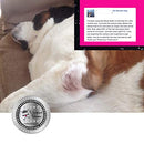 The Blissful Dog Elbow Butter Moisturizes Your Dog's Elbow Calluses - Dog Balm