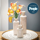Sullivans Ceramic Vase Set - 3 Small Vases, Rustic Home Decor, Modern Farmhouse; Ideal Shelf Décor, Table Décor, Bookshelf, Mantle, Entryway- Distressed White (CM2333)