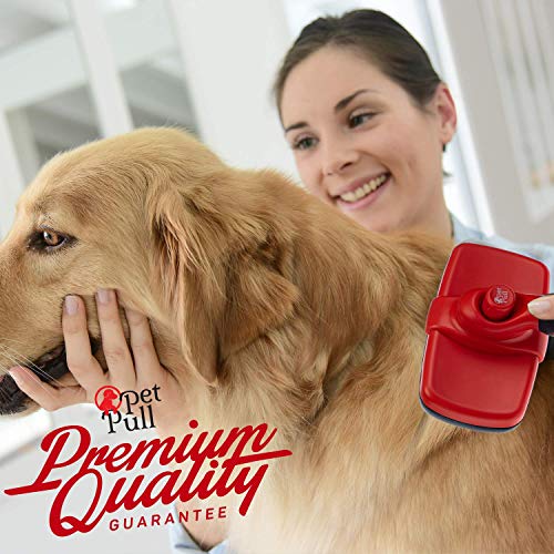 Complete Professional Pet Grooming Kit | Self Cleaning Slicker Brush for Dogs & Cats