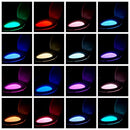 2 Pack Toilet Night Lights,16-Color Motion Activated Detection Bowl Light