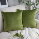 Pack of 2 Velvet Decorative Throw Pillow Covers Soft Solid Square Cushion Case