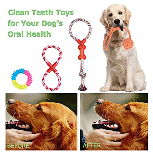 Angelland Dog Chew Toys for Small to Medium Dogs - 10 Pack Tough Dog Toys