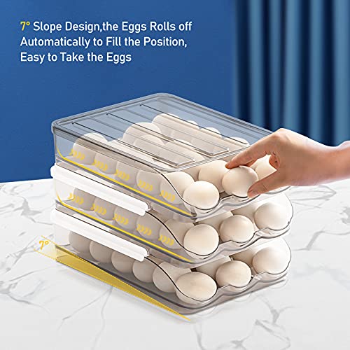 Large Capacity Egg Holder for Refrigerator, Egg Fresh Storage Box for Fridge, Egg Storage Container Organizer Bin, Clear Plastic Storage Container (2 Layer)